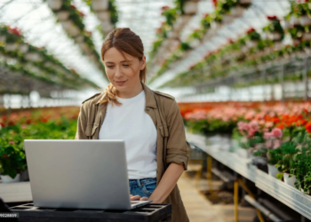 reconversion professionnelle les vrais chiffres