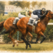 Course amateur – le prix à payer